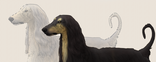 Description: Dog Image